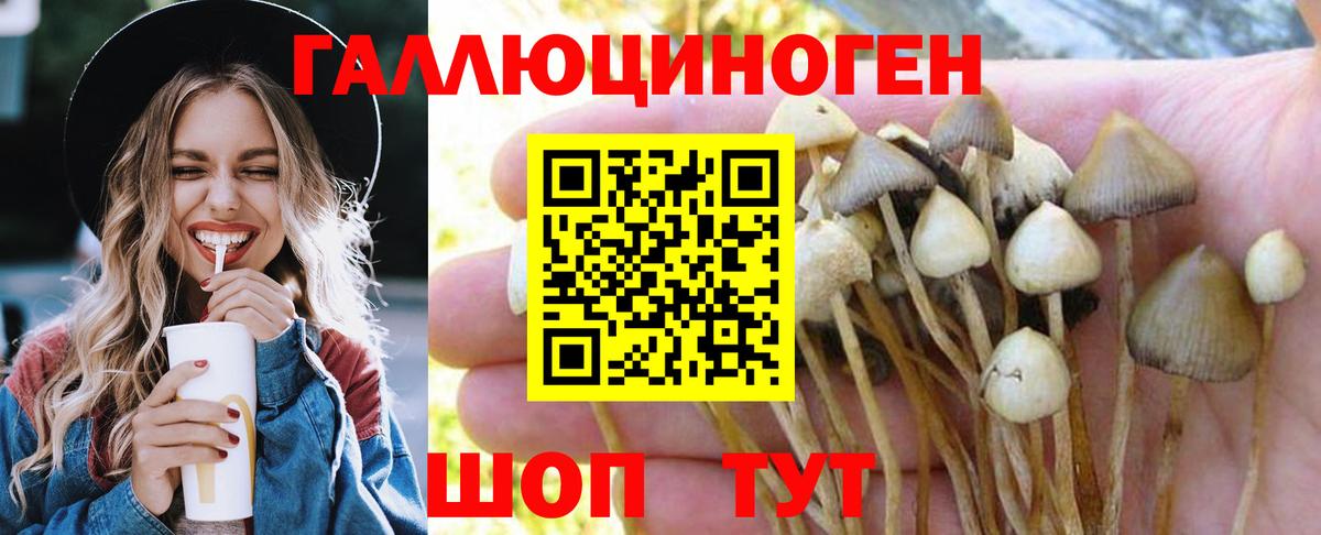 Псилоцибиновые грибы мухоморы  Вход с VPN  Кириши  Галлюциногенные грибы прущие грибы 